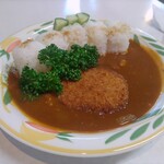 丹沢湖レストハウス - 三保ダムカレー　1050円