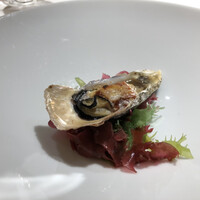 ぎをん 萬養軒 本店 - 【オードブル】牡蠣炙り焼き　カークパトリック風（カクテルソース）、海藻（トサカノリ）