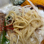 暁 製麺 - 鶏豚だしラーメン　麺