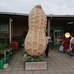 道の駅 木更津 うまくたの里 - ピーナッツがお出迎え〜♪