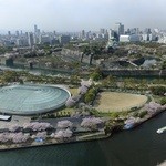 ダン ル シエル - 周辺：春の大阪城＆大阪城ホールへお越しの際は是非お店にも♪