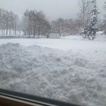 羊蹄山 - 窓の外は真っ白な雪、晴れていれば羊蹄山も見える