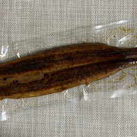 しら河 浄心本店 - 