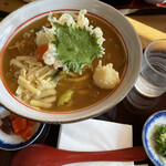 勢川 - 料理写真:豊橋カレーうどん