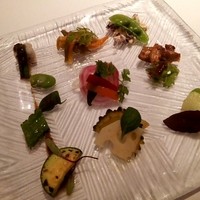 カントニーズ 燕 - 