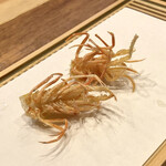 Tempura Miyashiro - 