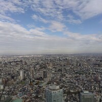 サンシャイン クルーズ・クルーズ - 