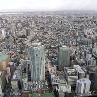 サンシャイン クルーズ・クルーズ - 