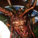 活魚割烹 赤坂 - 