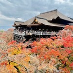 カフェチャオプレッソ - ◎東京に戻る前に清水寺まで紅葉見物に行った。