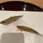 天ぷら 京星 - もろこ