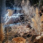 アルジェント - 