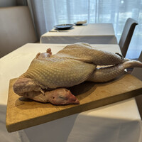 アーティショー - 七面鳥