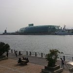 Shingo San Kaisen Hompo - 今は穏やかを取り戻した海。先に見えるのは水族館。