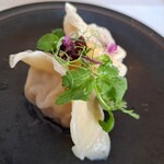 レカマヤジフ - 