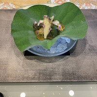 新宿 星のなる木 - 