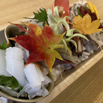 かもめ食堂 - 刺し身の盛合せ