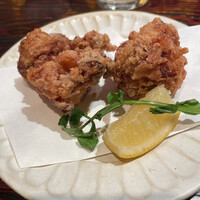 鳥ばか一代 - 