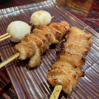鳥ばか一代 - 