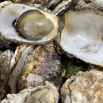 海辺の宿まるさん - 