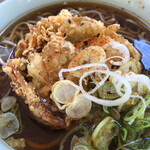 美野里パーキングエリア（下り線）フードコート - 海鮮かき揚げそばのアップ