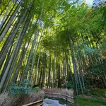 手打そば千花庵 - 