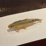 京都祇園 天ぷら八坂圓堂 - 