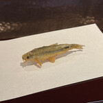 京都祇園 天ぷら八坂圓堂 - 