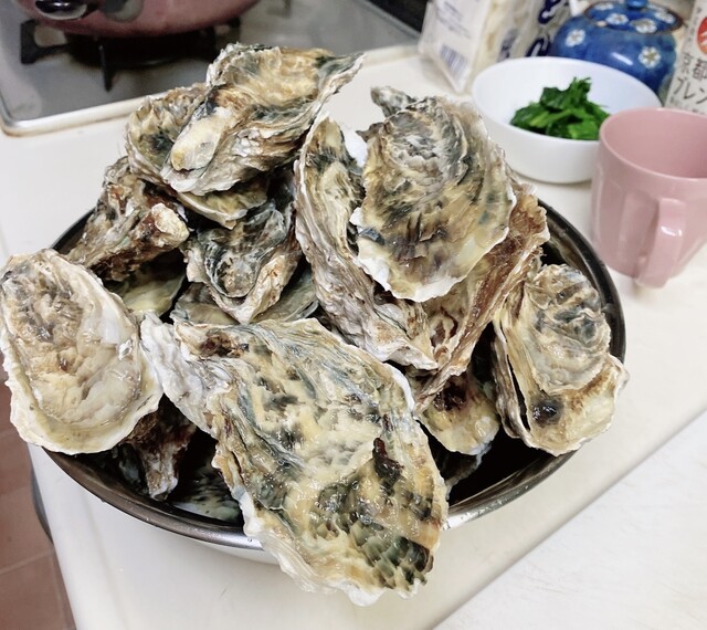松島地区漁業組合 生かき直売所 - 松島（その他）の写真