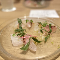 FISH - 