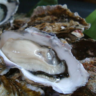 かきと旬鮮料理とおそば 開_1