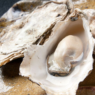 かきと旬鮮料理とおそば 開_2