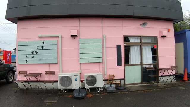 猫神シフォンケーキ ねこるん - 北丸森（ケーキ）の写真