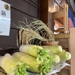 古民家カフェ 365nichi - 畑で採れた野菜も販売しています