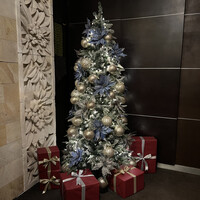 ザ・レギャン・トーキョー - 