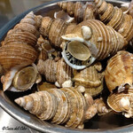 カーサ・デル・チーボ - 超稀少な灯台螺貝