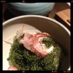 沖縄料理 金魚 - 海ぶどう。
            ぷちぷち感がやみつき♫