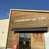 Strawberry Factory - 