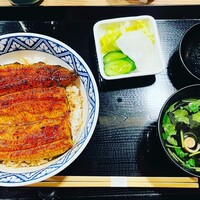 うなぎ 目白ぞろ芽 - 