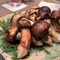 USHIGORO S. NISHIAZABU - 