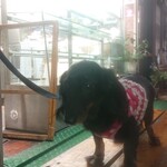 天政 - 閉店したあとは一緒に帰ったり