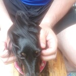 天政 - みんなにかわいがられて幸せでした