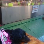 天政 - ここでよくくつろいでたわん