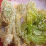 天政 - 春は長野と新潟の山菜