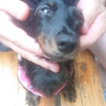 天政 - 天政のパパママおねーさんたちお客さんみんなありがと！