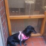 天政 - ここがお気に入り