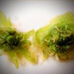 天政 - ふきのとう