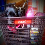 天政 - ママのチャリカゴ