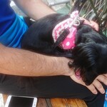 天政 - Twitter仲間も気にいって通ってくれたり