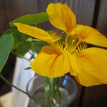 カフェひびきや - 卓飾花